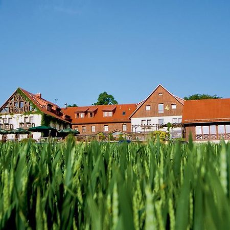 Hotel Neue Hoehe Klingenberg Zewnętrze zdjęcie