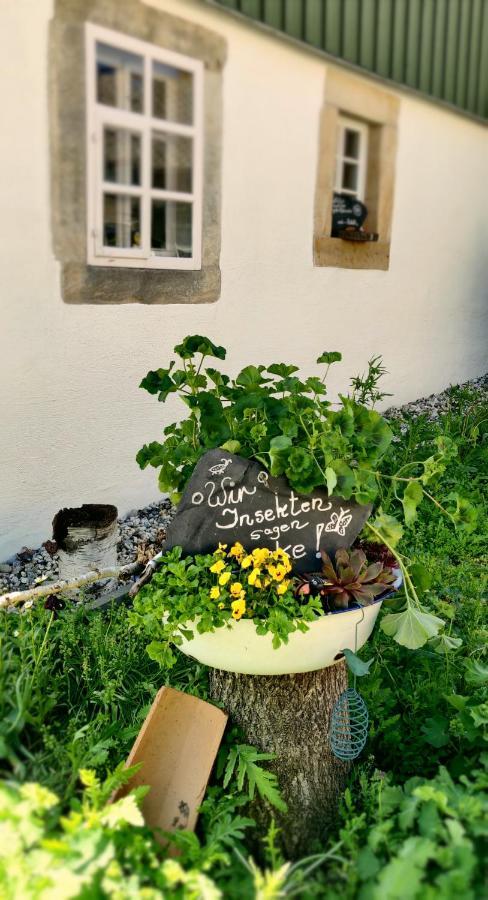 Hotel Neue Hoehe Klingenberg Zewnętrze zdjęcie