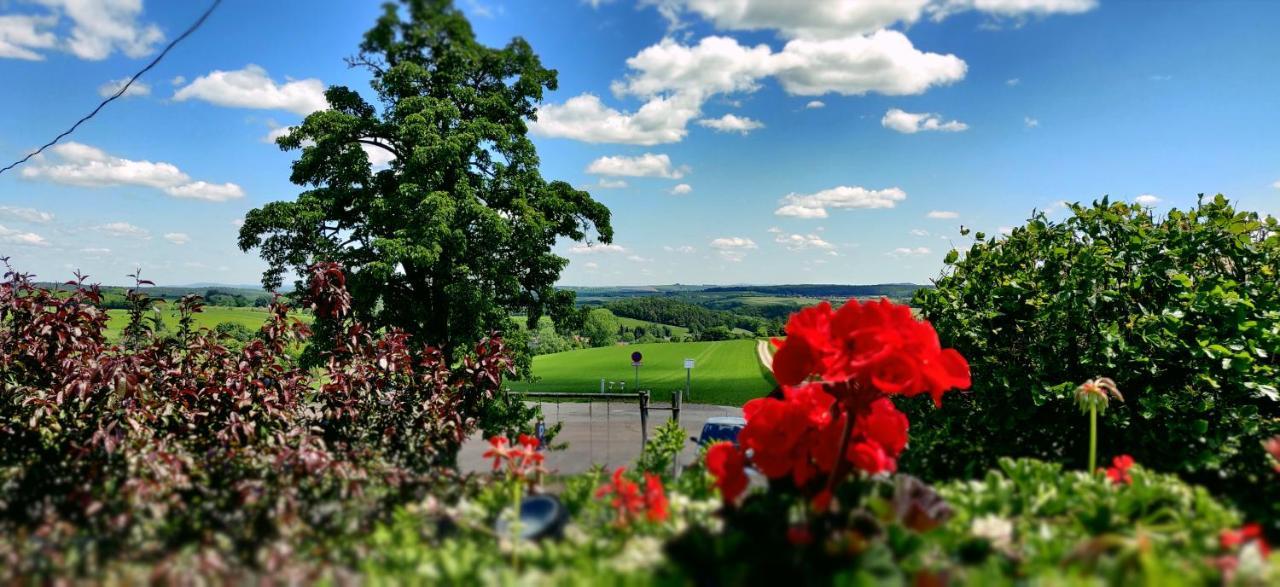 Hotel Neue Hoehe Klingenberg Zewnętrze zdjęcie