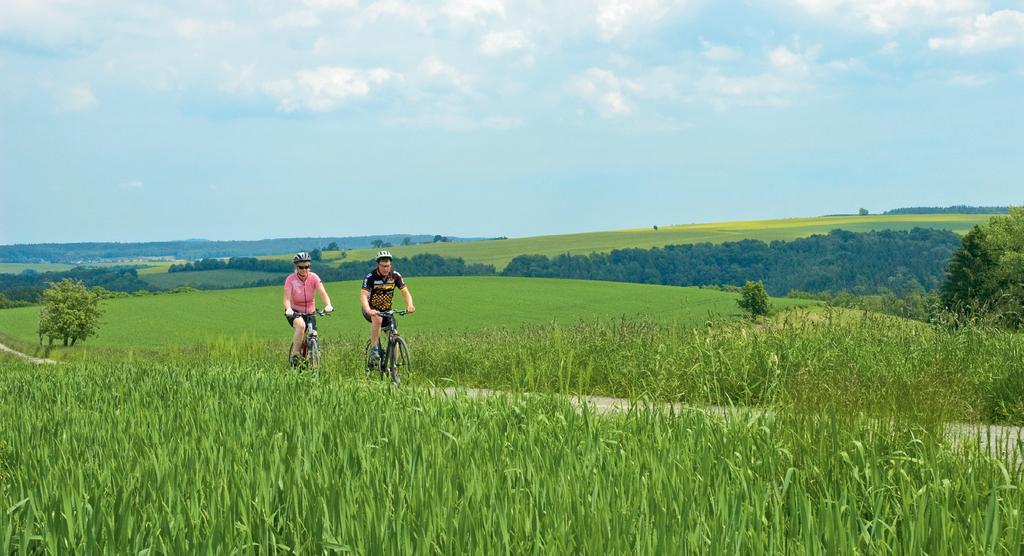 Hotel Neue Hoehe Klingenberg Zewnętrze zdjęcie