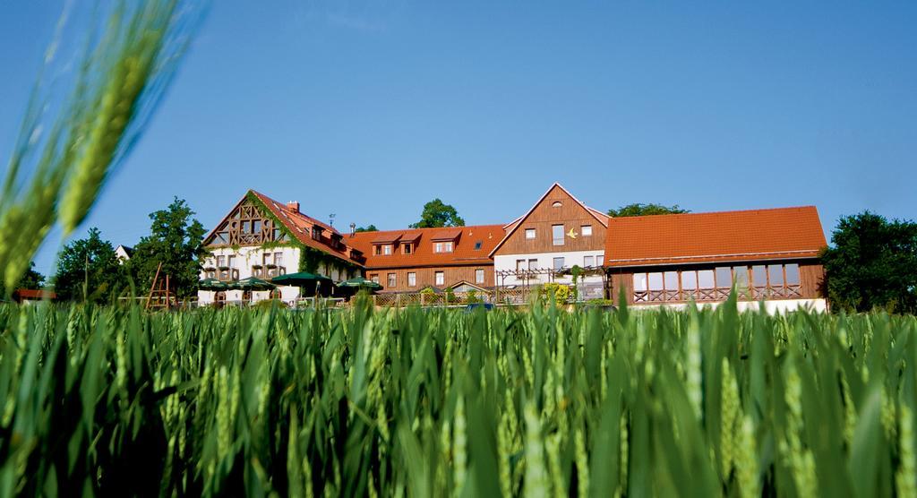 Hotel Neue Hoehe Klingenberg Zewnętrze zdjęcie